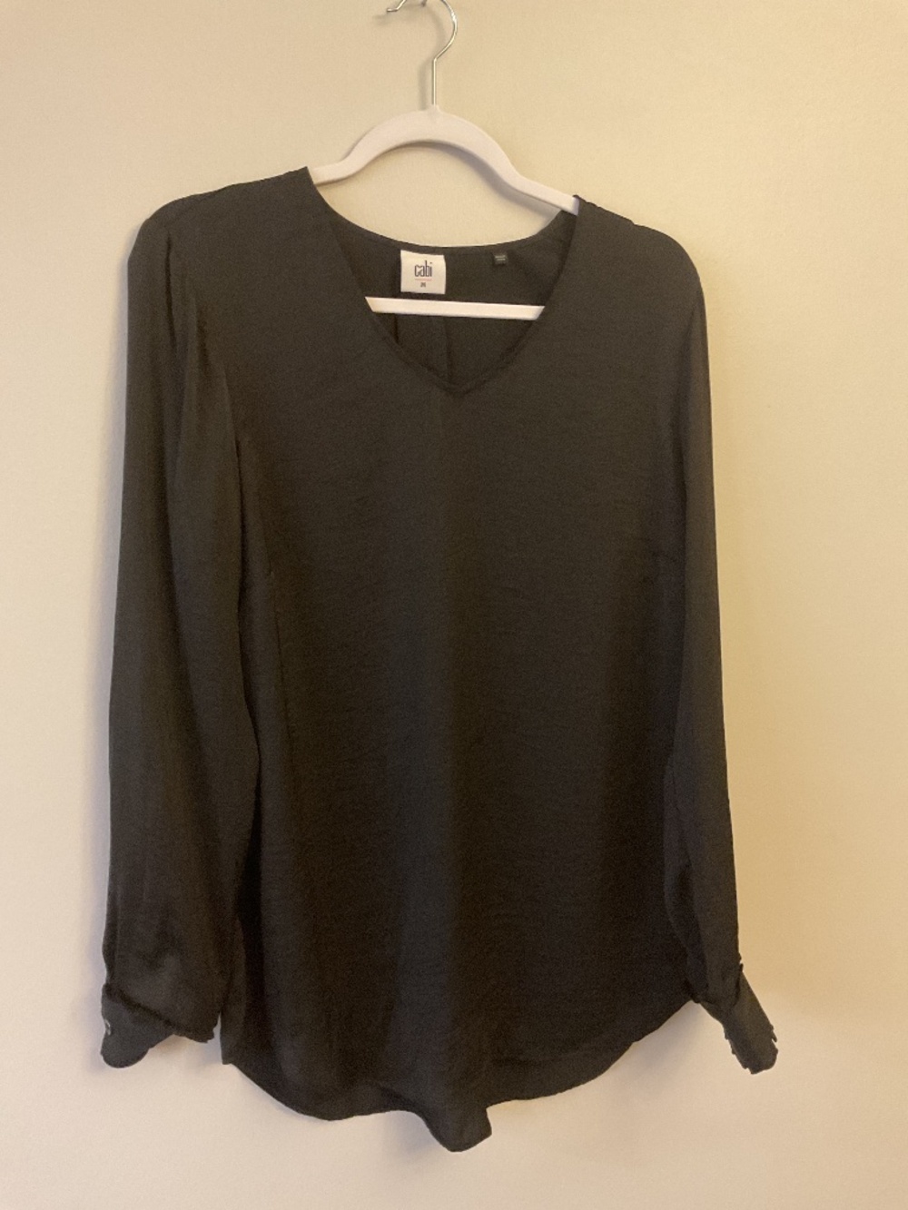 CAbi long silk like shirt